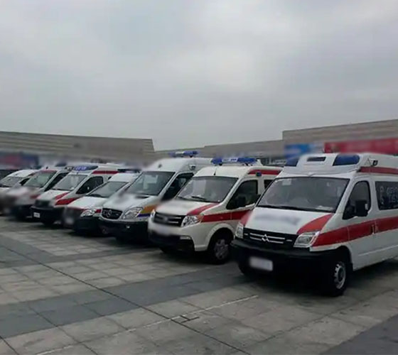 巴里坤哈萨克服务车队展示